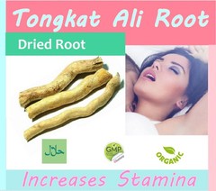 Tong_kat A_li Root Dried Eurycoma longi_folia Jack Organic Tracking NO