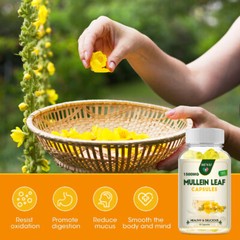 Lung Detox & Cleanse -Mullein Leaf -Respiratory Health, Digestive Support 120pcs