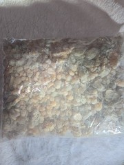 OMAN Frankincense Tears Whole Boswellia Carteri – Ceremony Religious