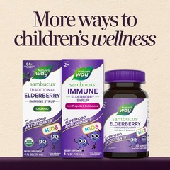 Sambucus Kids Elderberry Syrup 4 fl oz Nature’s Way Immune Support