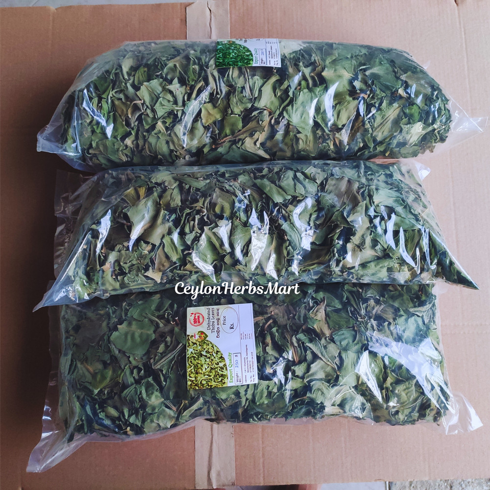Organic Dried Insulin Plant Leaves Costus Igneus Fiery Costus Leaf Herbal Tea