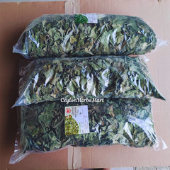 Organic Dried Insulin Plant Leaves Costus Igneus Fiery Costus Leaf Herbal Tea