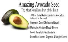 Moringa Digestion Tea with Avocado Seed and Ginger – 60 Count