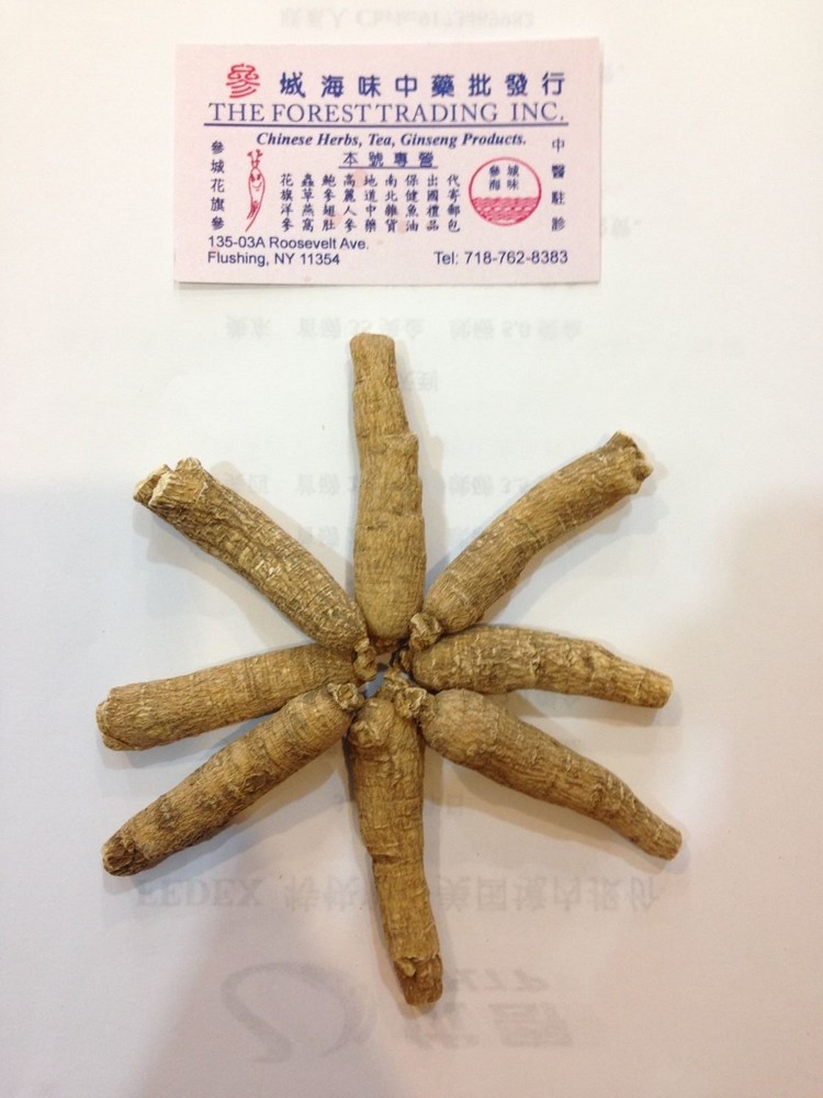 Ginseng from Wisconsin USA 7 years 1LB Strand #2