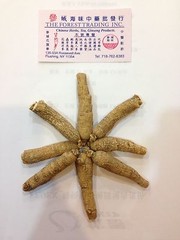 Ginseng from Wisconsin USA 7 years 1LB Strand #2
