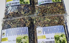 4oz Prodigiosa,prodijiosa,Siempre viva,Brickellia,Atanasia amarga,amargosa herb