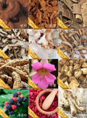 6Years Korean Red Ginseng Extract Sticks / 10g x 100 / 3month /Free Tracking no