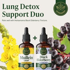 Mullein Drops for Lungs – Natural Respiratory Wellness, 56-Day Supply