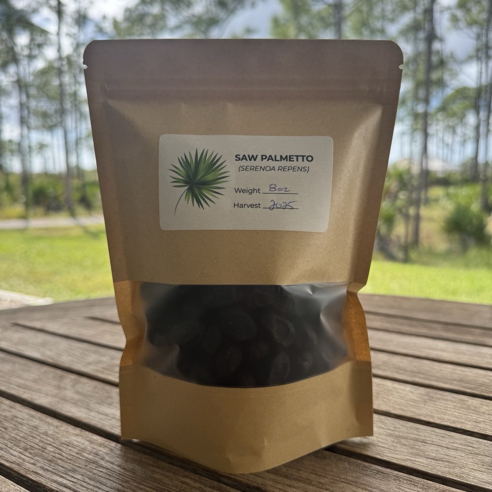 8oz Whole Saw Palmetto Florida Organic (Serenoa Repens) Berries 8 Ounces – 2025