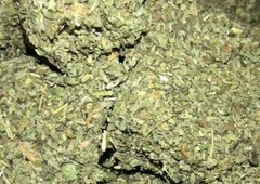 MULLEIN & DAMIANA & MARSHMALLOW herb blend ORGANIC leaf mix – oz 1 2 4 8 lb