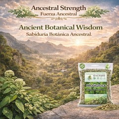 Prodigiosa Herbal Tea – 4 oz (113g) – 100% Natural Mexican Herb – Wildcrafted Br