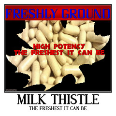 MILK THISTLE Fresh Ground The Freshest It Can Be 100 V Capsules 500 mg