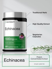 Echinacea Capsules 1300mg | 300 Count | Vegan, Non-GMO | by Horbaach