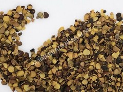 Saw Palmetto, Serenoa repens, All Natural Chopped Berries ~ Schmerbals Herbals