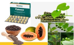 Platenza Himalaya 180 Tablets (3 pack 60 tablets)Organic Natural support Fresh