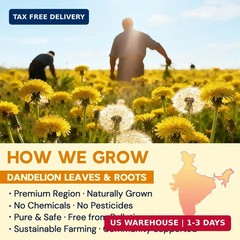 Dandelion Leaf & Root Herbal Tea-Caffeine-free, 50 Teabags | Dandelion Tea Bags