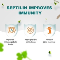 🔥Himalaya Septilin Tablets 60 Count Herbal Formula 1 to 10 Packs Vegan Safe🔥