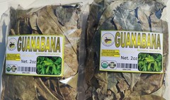 Hojas de guanabana,hoja de guanabana, te de guanabana Natural Organico