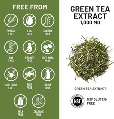 NatureWise Green Tea Extract Capsules 1000 mg – 50% 120 Count (Pack of 1)