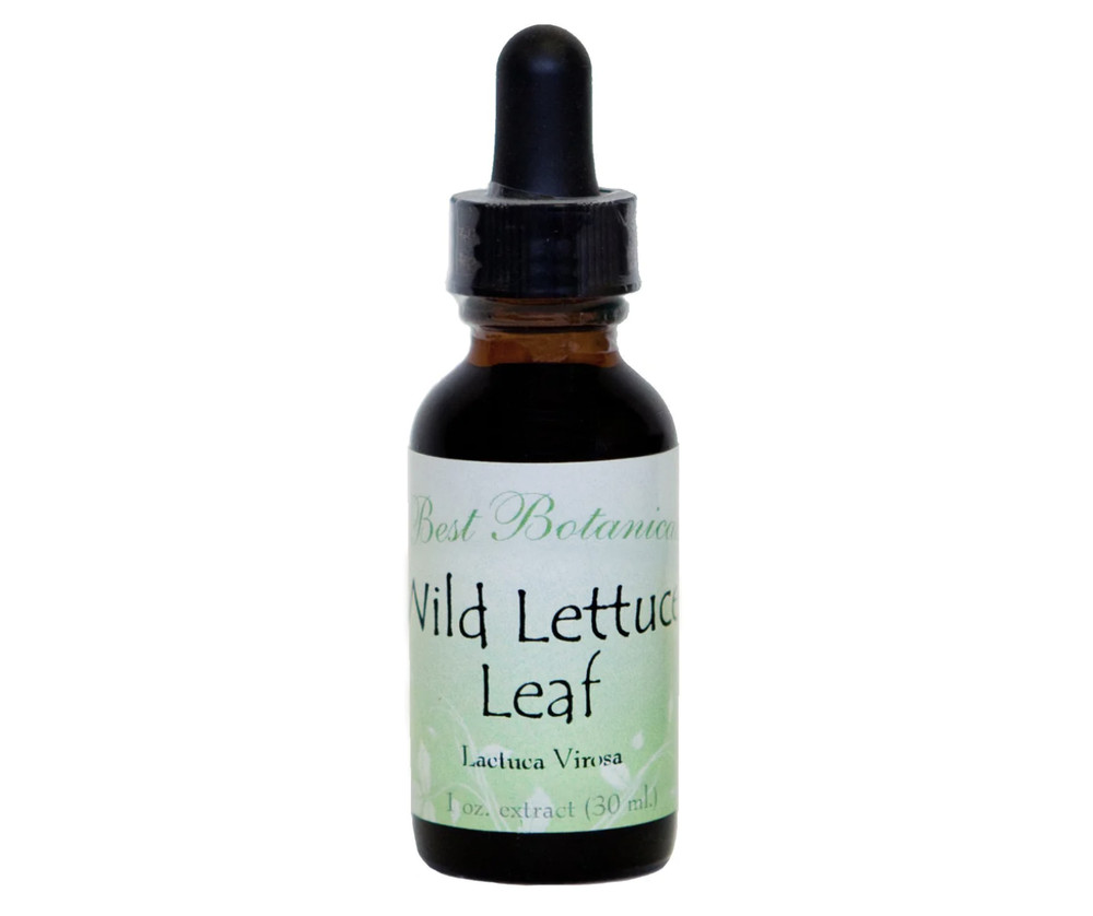 Wild Lettuce Leaf Extract Herbal Tincture w/ Dropper – Free Sample + Free Ship