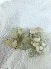 ONE LB Hojari Green frankincense – Ethically sourced from Oman