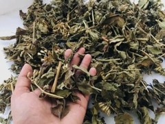 100g Dream Herb Calea Zacatechichi Leaves – Lucid Dream Tea | Free Shipping