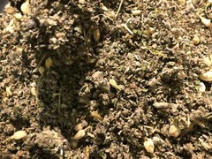 No.32 Herbal Blend Mix – Ginger Jasmine Wild Lettuce Skullcap +Plus Other Herbs!