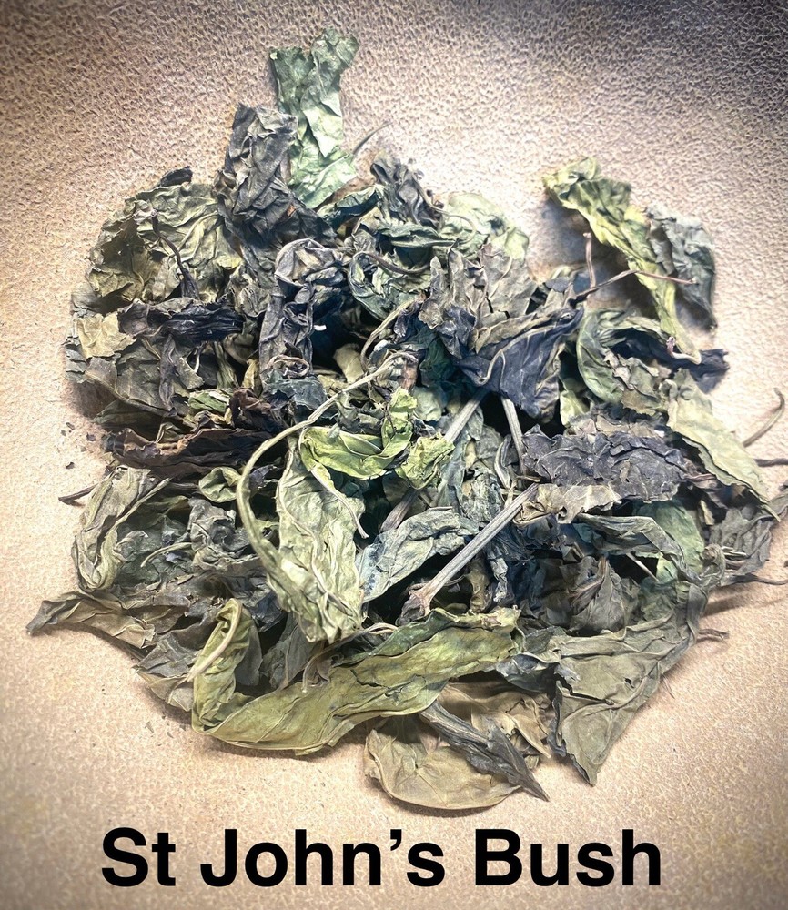 Justicia Secunda dried leaves 1.5oz (St. John’s Bush, Blood root)
