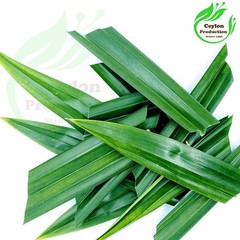 Pandan Leaves Tea Cut(1-2mm) Dried Organic Pandanu amaryllifolius Screwpine herb