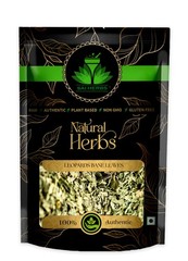 SAI HERBS Leopards Bane Leaves – Good for Healthy Lifestyle