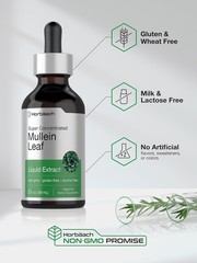 Mullein Leaf Extract Gordolobo Extracto Herbal Respiratory Support Drops 2 fl oz