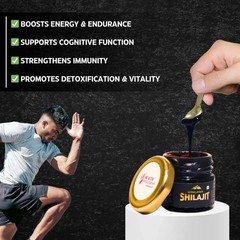 Shilajit Resin 20g