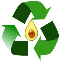 1 lb. Raw Avocado Seed Powder – Antioxidants, Fiber, Blood Sugar + Cholesterol