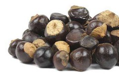 GUARANA Powder Seed Berry 4oz 8oz 12oz 16oz 1lb 24oz 32oz 2lb 4lb – Paje brand