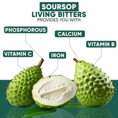 Soursop Living Bitters for Overall Health and Wellness | Pack of 1 | 16 Oz