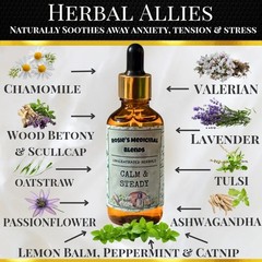 Calm & Steady | Stress Release | Anti- Anxiety | Organic Herbal Extract Tincture