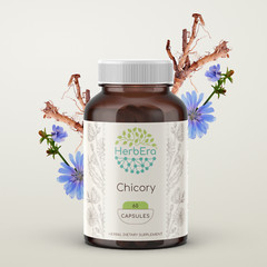 HerbEra Chicory 60/120 Capsules, 500 mg, Organic Chicory (Cichorium Intybus)