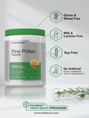 Pine Pollen Powder Extract | 6 oz (170 g) | Nature’s Superfood | By Horbaach