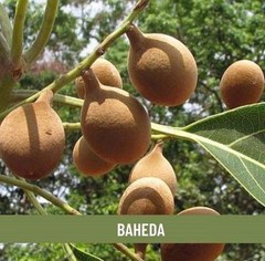 Shudh Online Baheda Seeds Helpful in Maintaining Healthy And Strong Hair 100g Q9