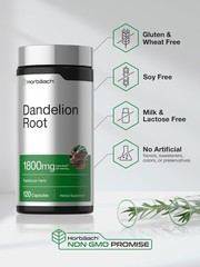 Dandelion Root Capsules 1800mg | 120 Count | Non-GMO, Gluten Free | by Horbaach