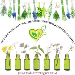 Rose Hips Non-Alcohol Extract Tincture Organic Liquid Herbal Drops 2oz Body Skin