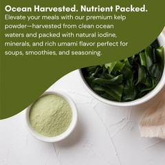 8 oz Kombu Kelp Powder – Natural Umami Seasoning, Non-GMO, Gluten-Free