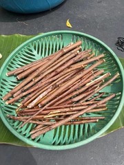 Organic Raw Dry Licoric Neem Tree Root Natural Tooth brush Stick (100 pieces)