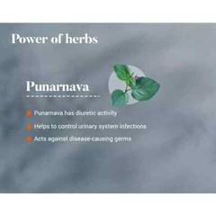 🌿 Himalaya Punarnava – 1 Box (60 Tab Each) | Buy 2 Get 1 FREE | Expiry 01-2027