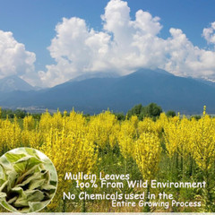 Mullein Leaf Tea Bags For Lungs Detox&Respiratory Support Non-GMO Caffeine-free