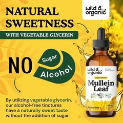 Wild & Organic Mullein Drops for Lungs – Alcohol Free Herbal Supplement