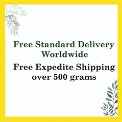 Pumpkin Seed Extract 100% Pure Organic Powder Premium Quality Free-Fast Shipping