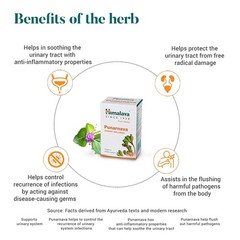 PUNARNAVA HIMALAYA Exp.Next 3 Years OFFICIAL USA Women Period Support Organic