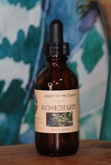 ROSEMARY Extract Remember Memory Nourish ORGANIC FOLK Tincture