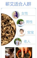 蕲艾叶 Best Artemisia argyi Ai for Moxa Moxibustion Supper Fine Loose Leaves 200g
